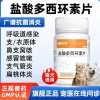 宠物猫狗常备四件套感冒药驱虫药腹泻感冒咳嗽猫打喷嚏流鼻涕专用